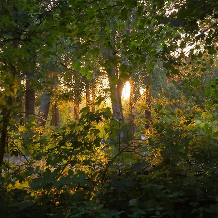 Wohnen Am Südstrand - 0 3 *