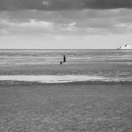 Wohnen Am Südstrand - 0 3