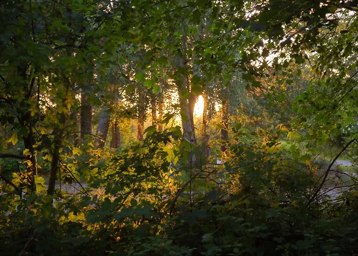 Wohnen Am Suedstrand - 0 3 *